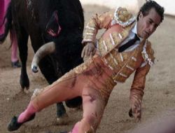 Bo�an�n �ntikam� Ac� Oldu