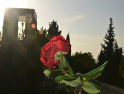 B�y�kel�i Gelibolu'da