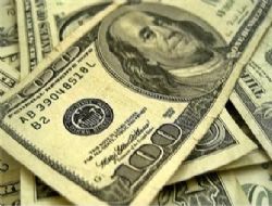 Dolar Dibi G�rd�