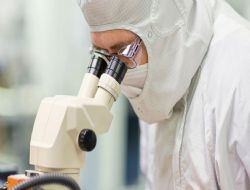 Sa�l�k Genleri Babadan