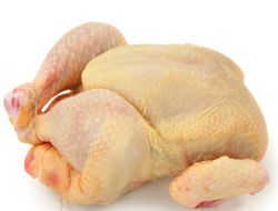 Tavukta Korkutan De�i�im