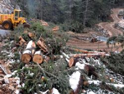 T�rkiye, �evre ve Do�a Korumada En Dipte